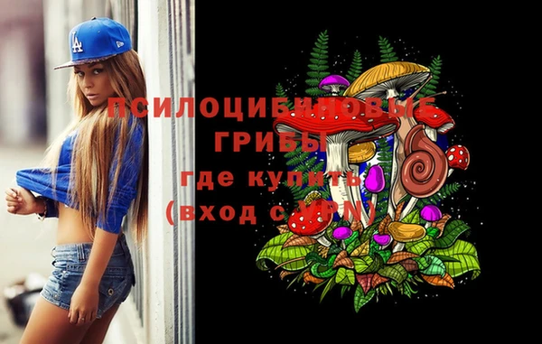 МДПВ Абинск