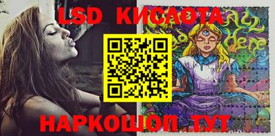 эйфоретик Гусь-Хрустальный