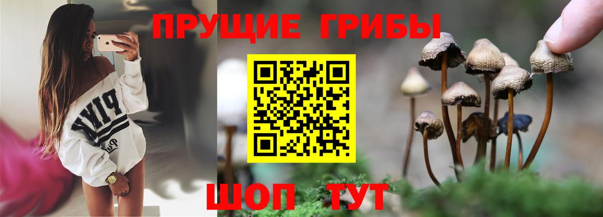 Галлюциногенные грибы мицелий  Вход с VPN  Энгельс 
